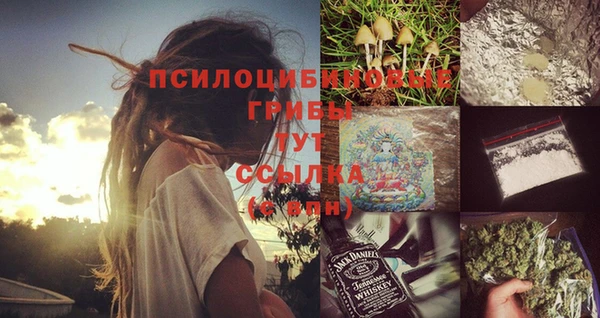 хмурый Нефтекумск